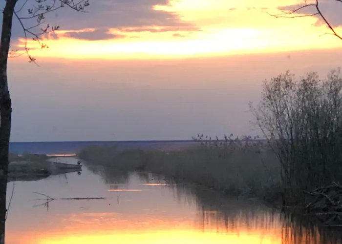 Saare-toominga House Campsite *