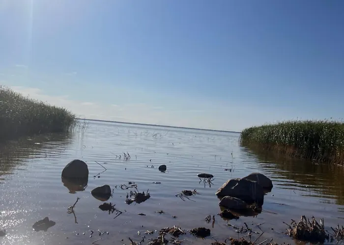 Saare-toominga House Vaike-Rakke