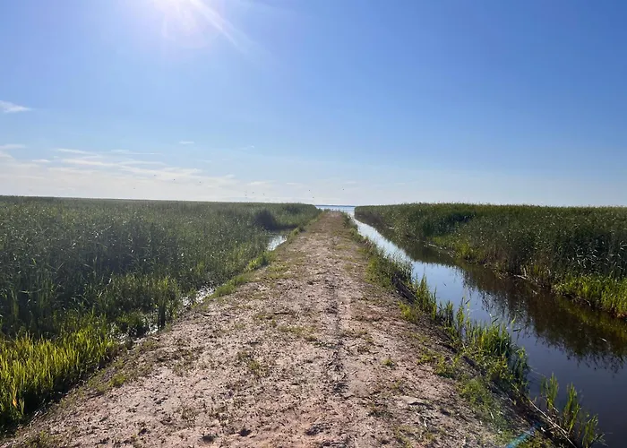 Saare-toominga House Campsite *